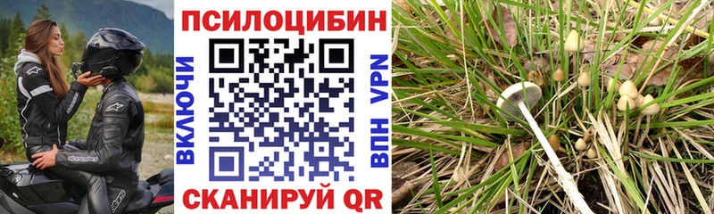 МЕГА вход Афипский Псилоцибиновые грибы мицелий